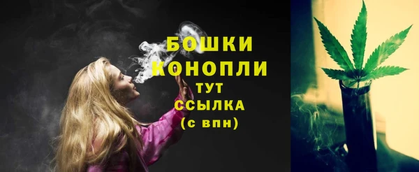 МДПВ Магас