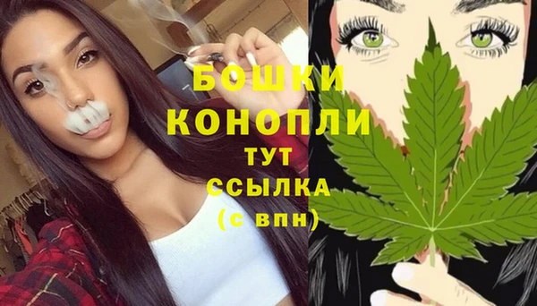 МДПВ Магас