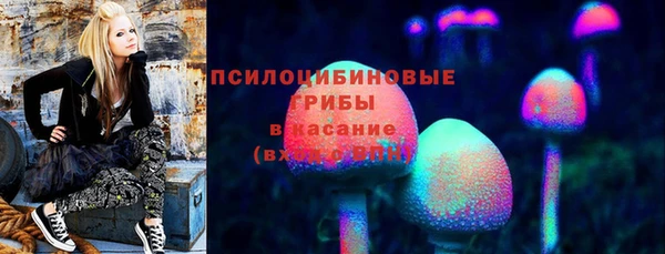 МДПВ Магас