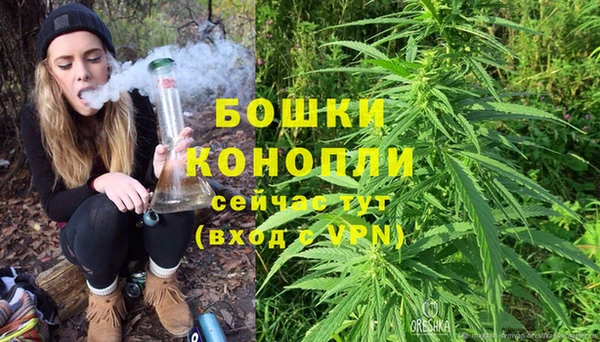 сатива Магадан