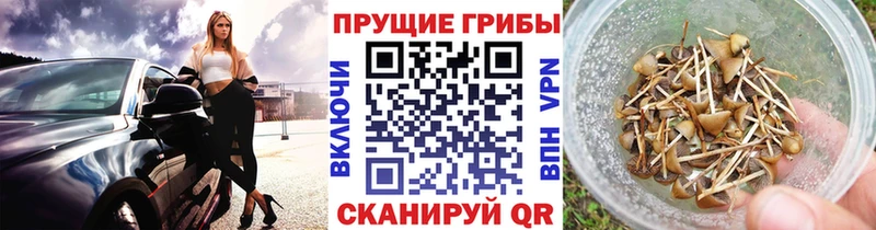 Галлюциногенные грибы прущие грибы  купить  цена  Октябрьский 