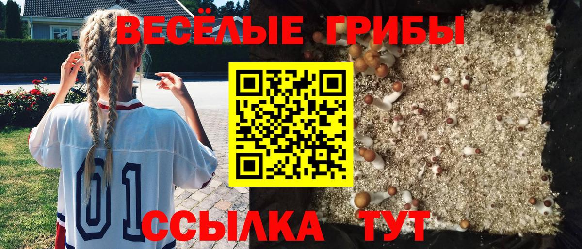 Псилоцибиновые грибы мицелий Октябрьский